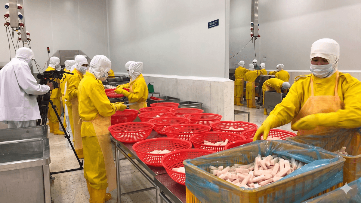 Undercover Asia: Fish Wars